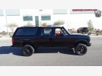 Thumbnail Photo 17 for 1992 Ford F350 4x4 Crew Cab